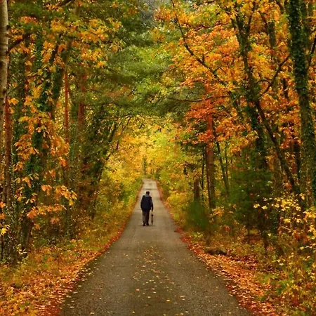 En La Rana Real Сasa de vacaciones *